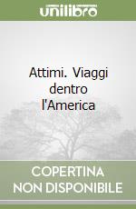 Attimi. Viaggi dentro l'America libro