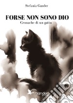 Forse non sono Dio. Cronache di un gatto libro