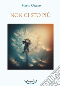 Non ci sto più