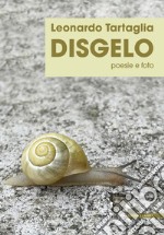 Disgelo. Poesie e foto libro