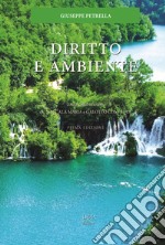 Diritto e ambiente. In cammino verso la transizione libro