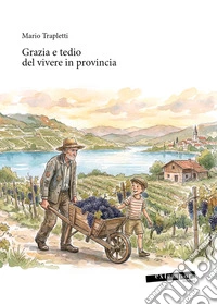 Grazia e tedio del vivere in provincia libro