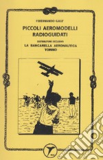 Piccoli aeromodelli radioguidati (rist. anastatica 1996) libro