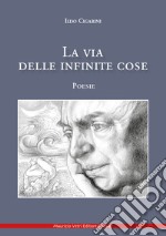 La via delle infinite cose libro