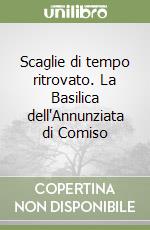 Scaglie di tempo ritrovato. La Basilica dell'Annunziata di Comiso libro