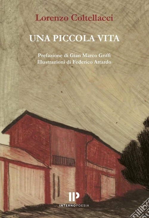 Una piccola vita