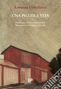 Una piccola vita libro