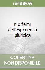 Morfemi dell'esperienza giuridica libro