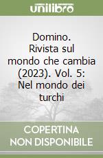 Domino. Rivista sul mondo che cambia (2023). Vol. 5: Nel mondo dei turchi libro