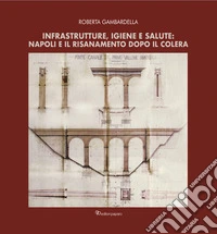 Infrastrutture, igiene e salute: Napoli e il risanamento dopo il colera libro