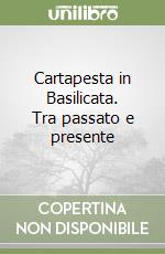 Cartapesta in Basilicata. Tra passato e presente libro