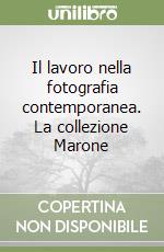 Il lavoro nella fotografia contemporanea. La collezione Marone libro
