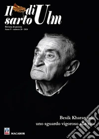 Il sarto di Ulm (2024). Vol. 20: Besik Kharanauli: uno sguardo vigoroso alla vita libro