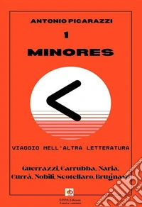 Minores. Viaggio nell'altra letteratura. Nuova ediz. libro