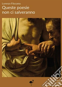 Queste poesie non ci salveranno libro