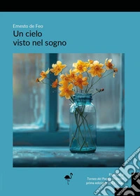 Un cielo visto nel sogno libro