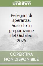 Pellegrini di speranza. Sussidio in preparazione del Giubileo 2025 libro
