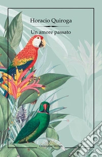 Un amore passato