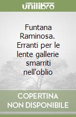 Funtana Raminosa. Erranti per le lente gallerie smarriti nell'oblio libro