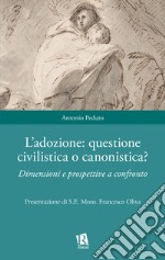 L'adozione: questione civilistica o canonistica? Dimensioni e prospettive a confronto