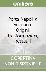 Porta Napoli a Sulmona. Origini, trasformazioni, restauri libro