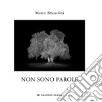 Non sono parole. Quasi un rifugio dall'ansia della xylella. Ediz. illustrata libro