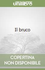 Il bruco