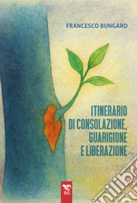 Itinerario di consolazione, guarigione e liberazione libro