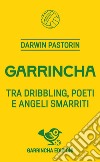 Garrincha libro di Pastorin Darwin