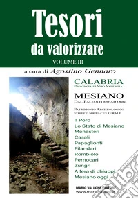 Tesori da valorizzare. Calabria, provincia di Vibo Valentia. Vol. 3: Mesiano. Dal Paleolitico ad oggi libro
