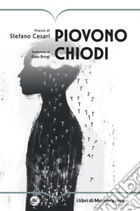 Piovono chiodi libro