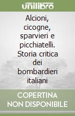 Alcioni, cicogne, sparvieri e picchiatelli. Storia critica dei bombardieri italiani libro