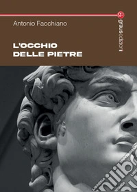 L'occhio delle pietre libro