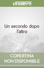 Un secondo dopo l'altro libro