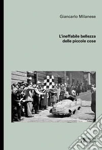 L'ineffabile bellezza delle piccole cose libro