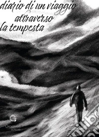 Diario di un viaggio attraverso la tempesta libro