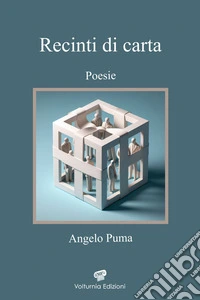 Recinti di carta libro