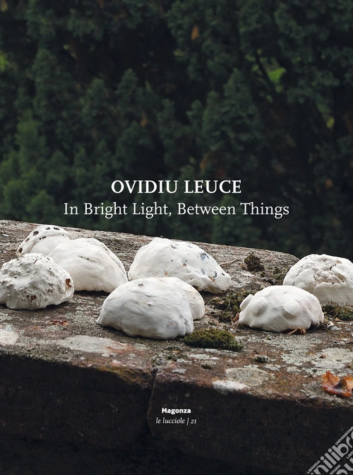 Ovidiu Leuce. In bright light, between things. Ediz. italiana e inglese