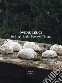 Ovidiu Leuce. In bright light, between things. Ediz. italiana e inglese libro