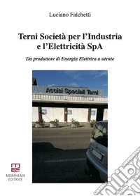 Terni Società per l'Industria e l'Elettricità SpA. Da produttore di energia elettrica a utente libro