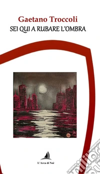 Sei qui a rubare l'ombra libro