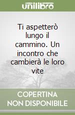 Ti aspetterò lungo il cammino. Un incontro che cambierà le loro vite libro