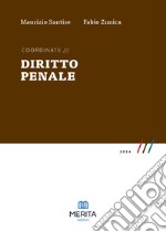 Coordinate. Diritto penale 2024 libro