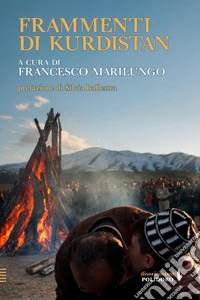 Frammenti di Kurdistan libro