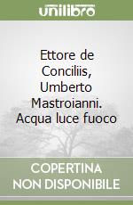 Ettore de Conciliis, Umberto Mastroianni. Acqua luce fuoco libro
