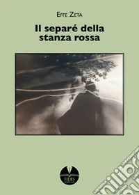Il separé della stanza rossa libro