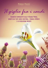Il giglio tra i cardi. Biografia romanzata della Vergine Maria basata su testi sacri cristiani, i vangeli apocrifi e le rivelazioni private libro