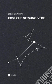 Cose che nessuno vede libro
