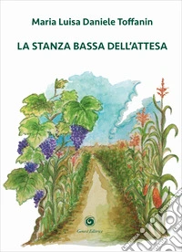 La stanza bassa dell'attesa libro