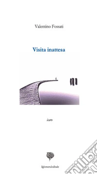 Visita inattesa
